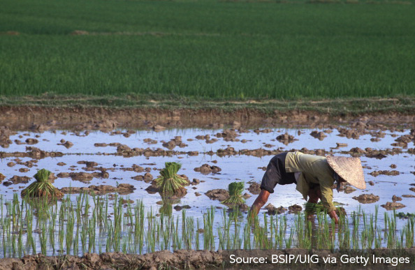 Figure 4: Vietnamese peasants